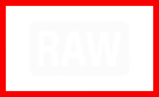 RAW image-capture format icon, transparent