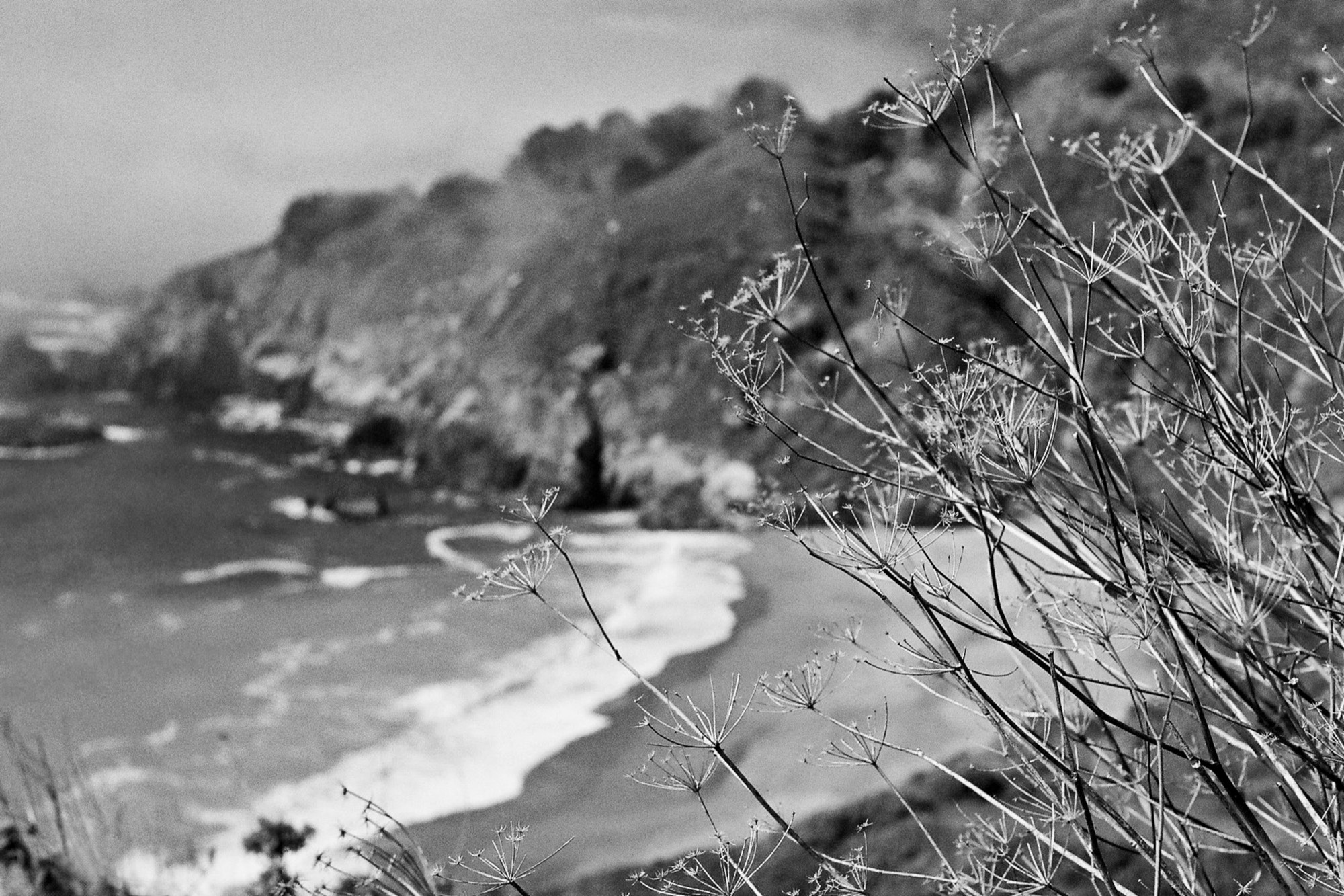 What Remains